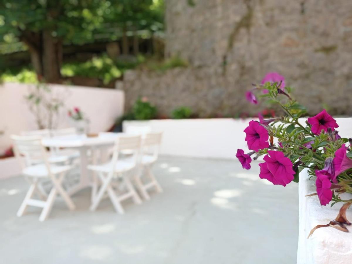 Easo Terrace Apartment Free Private Parking And Air Conditioning San Sebastián Exterior foto